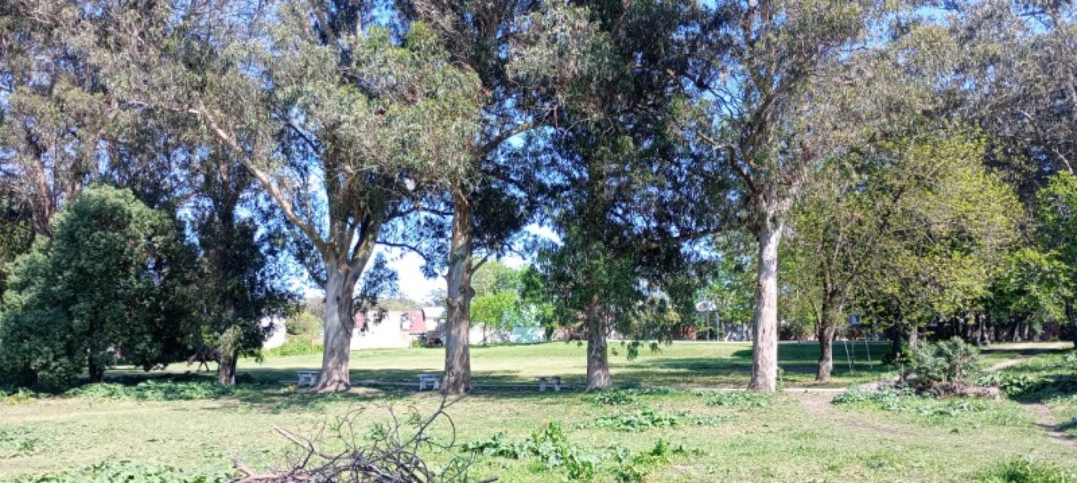 Terreno en Venta