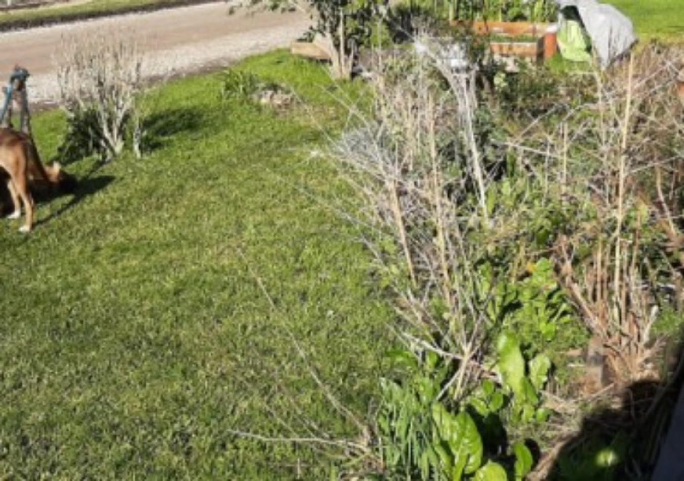 Casa en Alquiler