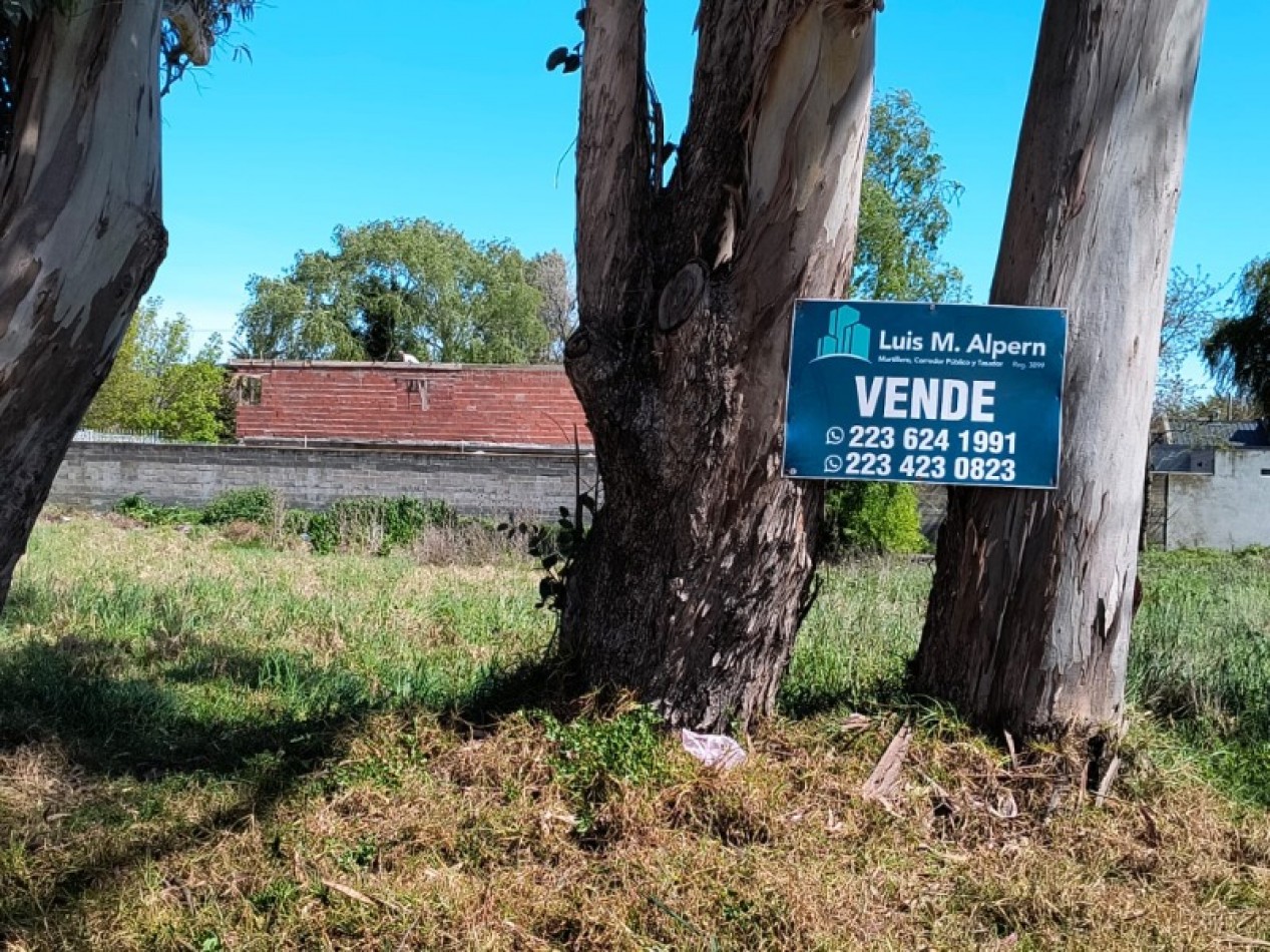 Terreno