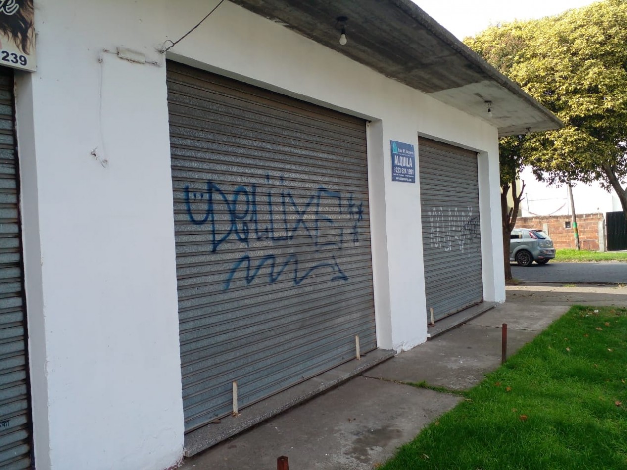 Local en Alquiler