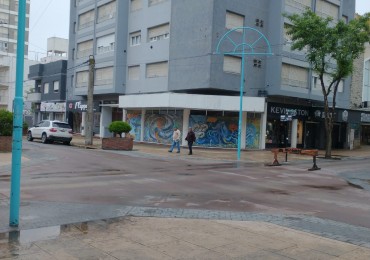 ALQUILER TEMPORARIO / DTO. 5 AMBIENTES/ CENTRO DE MIRAMAR/ CONSULTE VALORES SEMANA/QUINCENA/MES