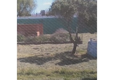 Lote Felix U. Camet